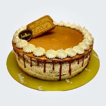 Lotus Biscoff Gateaux cake