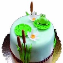 Frog in Pond Fondant Cake