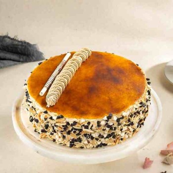 Malted Chocolate Cake