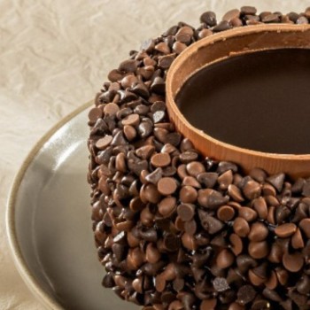 Classic Chocochips Cake