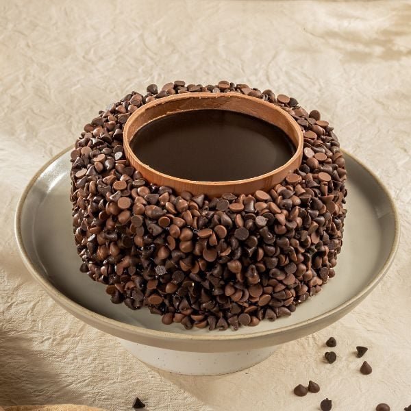 Classic Chocochips Cake