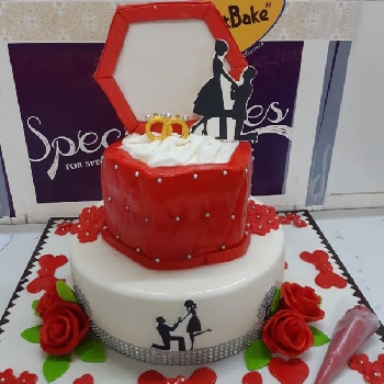 Elegant Engagement Cake 