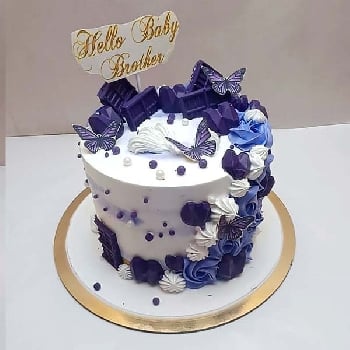 Butterfly Baby Welcome Cake